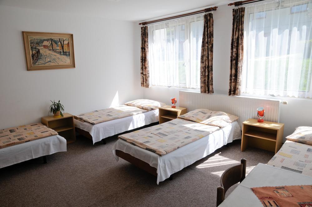 Ubytovna Cesky Krumlov Room photo