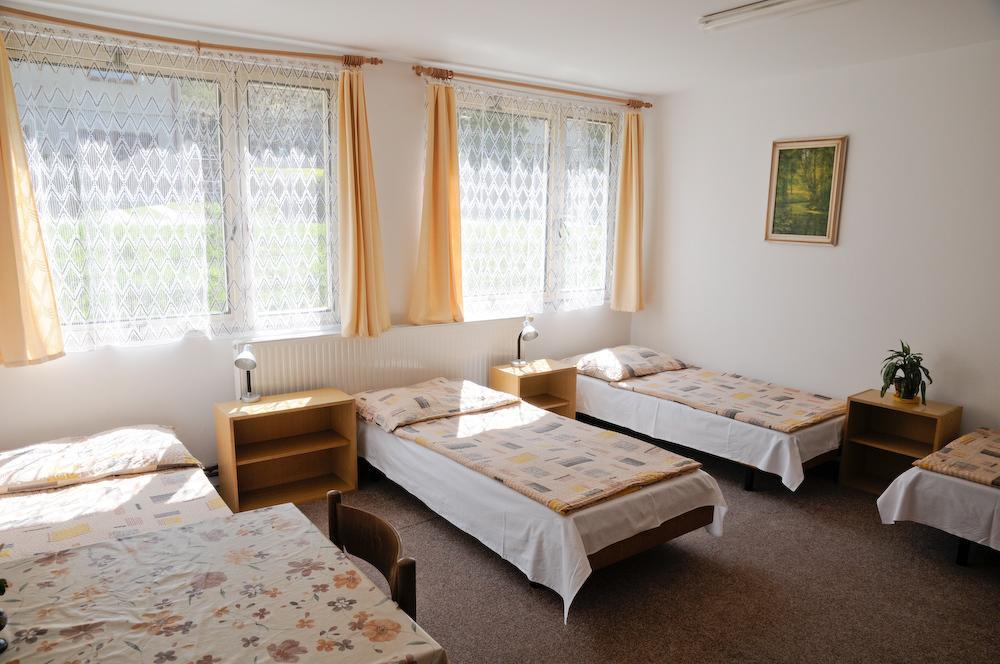 Ubytovna Cesky Krumlov Room photo